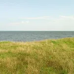 Miroszewo Ii